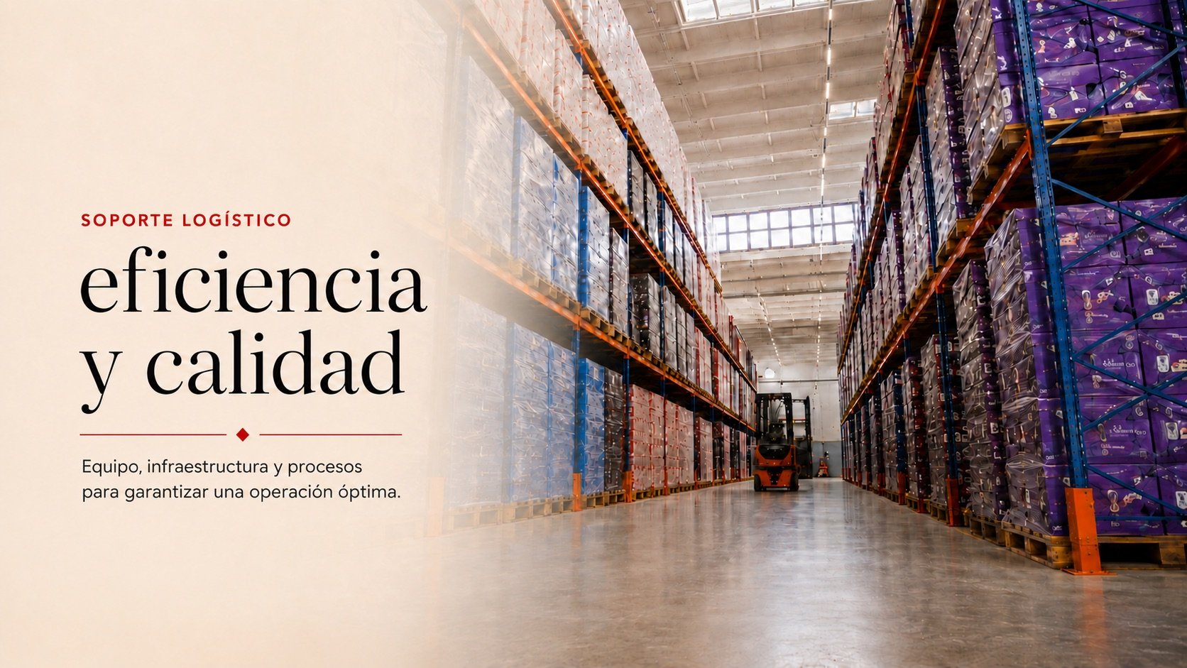 Soporte logístico: eficiencia y calidad
